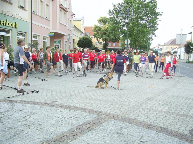 2008-07-13 10-jhriges Oldtimertreffen in Pinkafeld